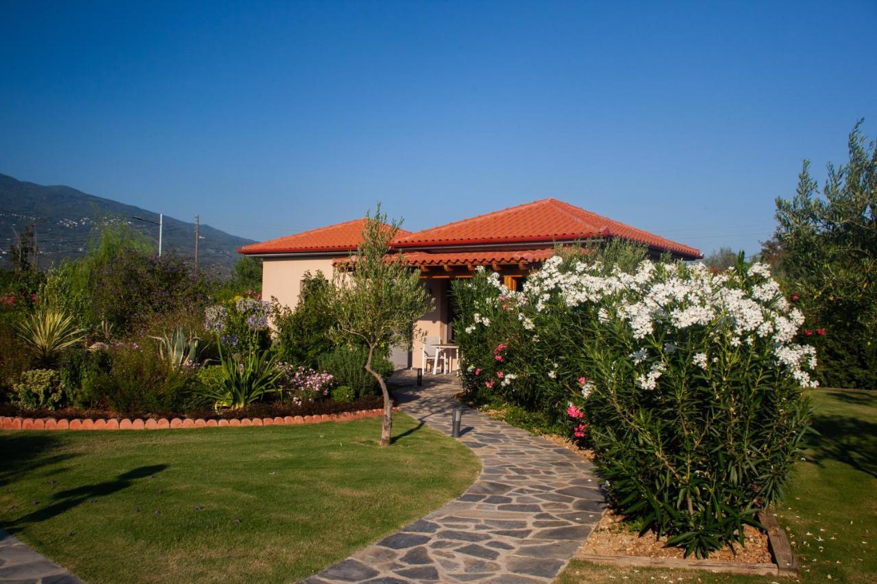 Elite Cottages Káto Lekhónia Bagian luar foto